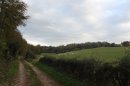 Bois de St Amand